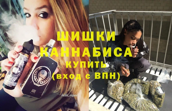 молекула духа Волосово