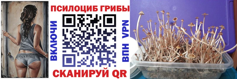 Псилоцибиновые грибы Magic Shrooms  что такое   Володарск 